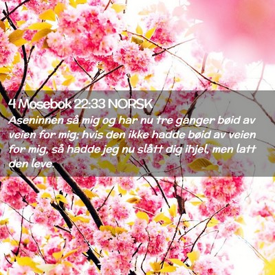 Picture 02 - 4 Mosebok 22:33 NORSK - Aseninnen så mig og har nu tre ganger bøid av - Bible Verse Picture