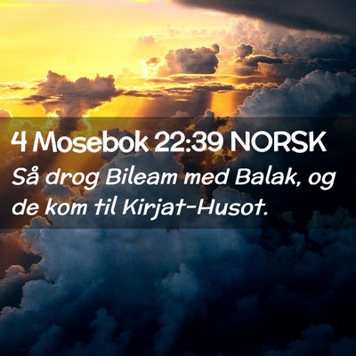Picture 02 - 4 Mosebok 22:39 NORSK - Så drog Bileam med Balak, og de kom til - Bible Verse Picture