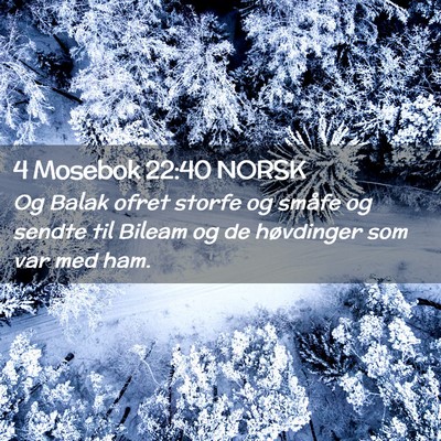 Picture 02 - 4 Mosebok 22:40 NORSK - Og Balak ofret storfe og småfe og sendte til - Bible Verse Picture