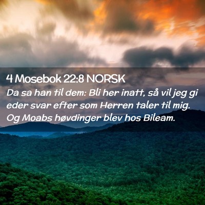 Picture 02 - 4 Mosebok 22:8 NORSK - Da sa han til dem: Bli her inatt, så vil jeg gi - Bible Verse Picture