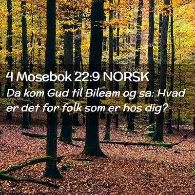 Picture 02 - 4 Mosebok 22:9 NORSK - Da kom Gud til Bileam og sa: Hvad er det for folk - Bible Verse Picture