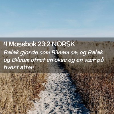 Picture 02 - 4 Mosebok 23:2 NORSK - Balak gjorde som Bileam sa; og Balak og Bileam - Bible Verse Picture