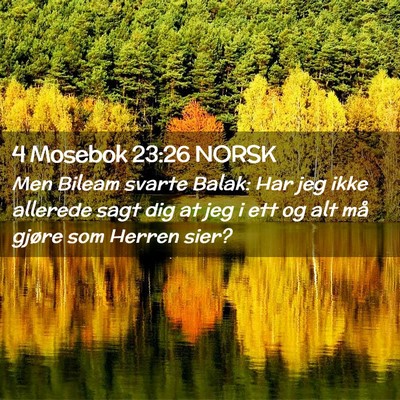 Picture 02 - 4 Mosebok 23:26 NORSK - Men Bileam svarte Balak: Har jeg ikke allerede - Bible Verse Picture