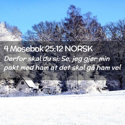 Picture 02 - 4 Mosebok 25:12 NORSK - Derfor skal du si: Se, jeg gjør min pakt med ham - Bible Verse Picture