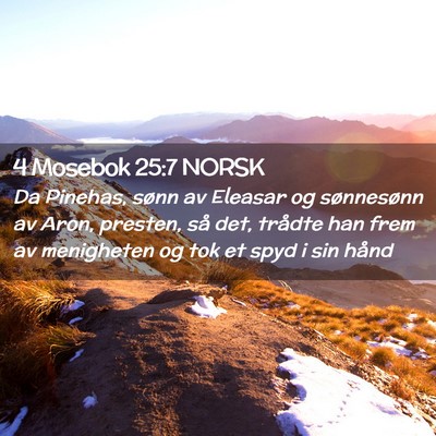 Picture 02 - 4 Mosebok 25:7 NORSK - Da Pinehas, sønn av Eleasar og sønnesønn av - Bible Verse Picture