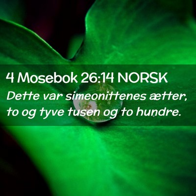 Picture 02 - 4 Mosebok 26:14 NORSK - Dette var simeonittenes ætter, to og tyve tusen - Bible Verse Picture