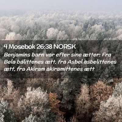 Picture 02 - 4 Mosebok 26:38 NORSK - Benjamins barn var efter sine ætter: Fra Bela - Bible Verse Picture