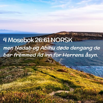 Picture 02 - 4 Mosebok 26:61 NORSK - men Nadab og Abihu døde dengang de bar fremmed - Bible Verse Picture