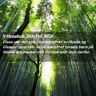 Picture 02 - 4 Mosebok 26:63 NORSK - Disse var det som blev mønstret av Moses og - Bible Verse Picture