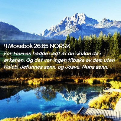Picture 02 - 4 Mosebok 26:65 NORSK - For Herren hadde sagt at de skulde dø i - Bible Verse Picture