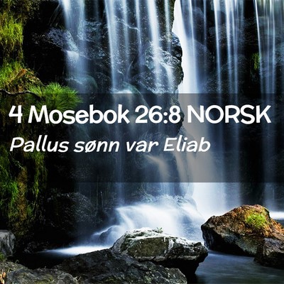 Picture 02 - 4 Mosebok 26:8 NORSK - Pallus sønn var - Bible Verse Picture