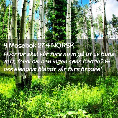Picture 02 - 4 Mosebok 27:4 NORSK - Hvorfor skal vår fars navn gå ut av hans ætt, - Bible Verse Picture