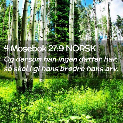 Picture 02 - 4 Mosebok 27:9 NORSK - Og dersom han ingen datter har, så skal I gi - Bible Verse Picture