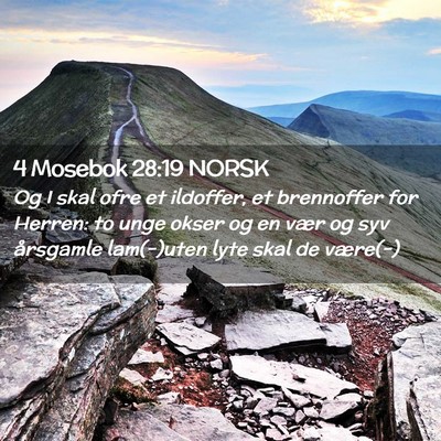 Picture 02 - 4 Mosebok 28:19 NORSK - Og I skal ofre et ildoffer, et brennoffer for - Bible Verse Picture