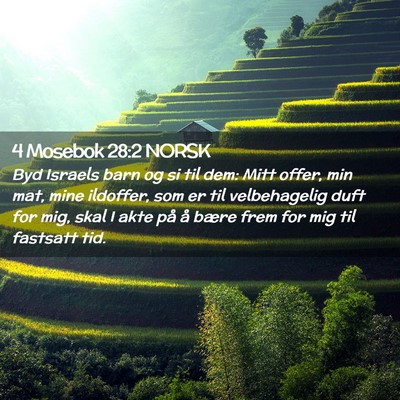 Picture 02 - 4 Mosebok 28:2 NORSK - Byd Israels barn og si til dem: Mitt offer, min - Bible Verse Picture