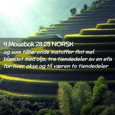 Picture 02 - 4 Mosebok 28:28 NORSK - og som tilhørende matoffer fint mel blandet med - Bible Verse Picture