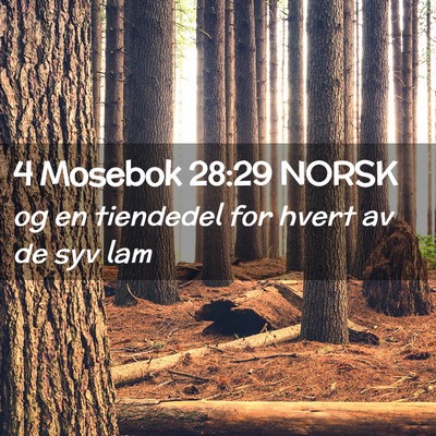 Picture 02 - 4 Mosebok 28:29 NORSK - og en tiendedel for hvert av de syv - Bible Verse Picture