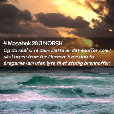 Picture 02 - 4 Mosebok 28:3 NORSK - Og du skal si til dem: Dette er det ildoffer som - Bible Verse Picture