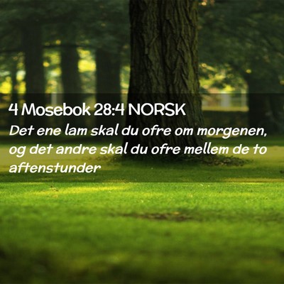 Picture 02 - 4 Mosebok 28:4 NORSK - Det ene lam skal du ofre om morgenen, og det - Bible Verse Picture