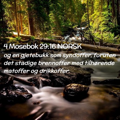 Picture 02 - 4 Mosebok 29:16 NORSK - og en gjetebukk som syndoffer, foruten det - Bible Verse Picture