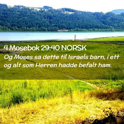 Picture 02 - 4 Mosebok 29:40 NORSK - Og Moses sa dette til Israels barn, i ett og alt - Bible Verse Picture