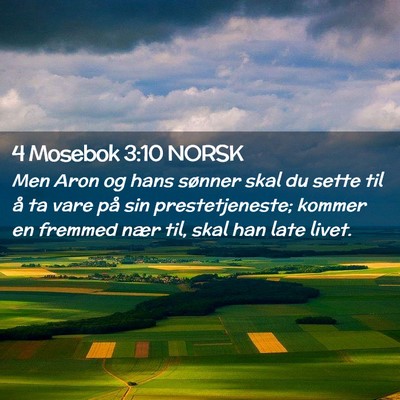 Picture 02 - 4 Mosebok 3:10 NORSK - Men Aron og hans sønner skal du sette til å ta - Bible Verse Picture