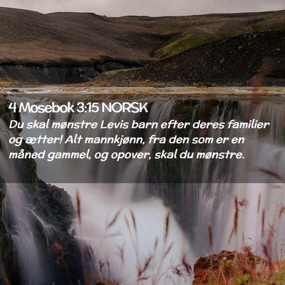 Picture 02 - 4 Mosebok 3:15 NORSK - Du skal mønstre Levis barn efter deres familier - Bible Verse Picture