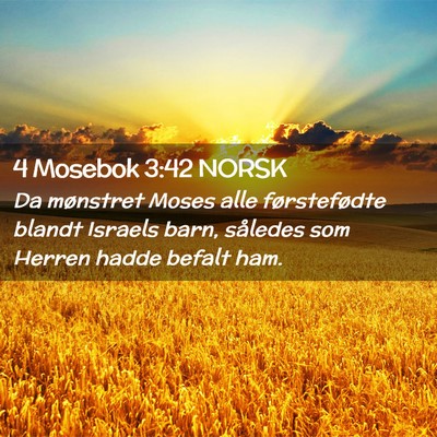 Picture 02 - 4 Mosebok 3:42 NORSK - Da mønstret Moses alle førstefødte blandt - Bible Verse Picture