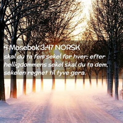 Picture 02 - 4 Mosebok 3:47 NORSK - skal du ta fem sekel for hver; efter - Bible Verse Picture