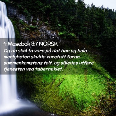 Picture 02 - 4 Mosebok 3:7 NORSK - Og de skal ta vare på det han og hele menigheten - Bible Verse Picture