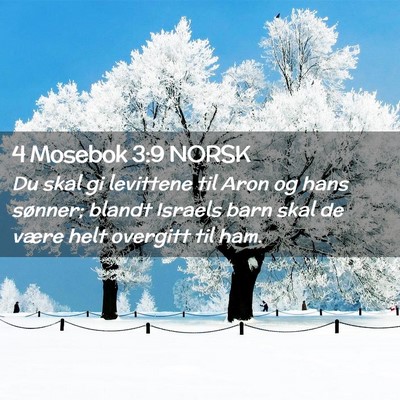 Picture 02 - 4 Mosebok 3:9 NORSK - Du skal gi levittene til Aron og hans sønner; - Bible Verse Picture