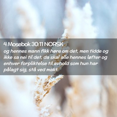 Picture 02 - 4 Mosebok 30:11 NORSK - og hennes mann fikk høre om det, men tidde og - Bible Verse Picture