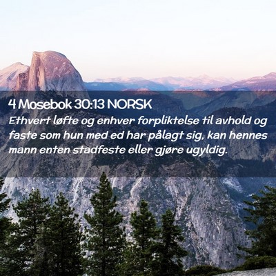 Picture 02 - 4 Mosebok 30:13 NORSK - Ethvert løfte og enhver forpliktelse til avhold - Bible Verse Picture