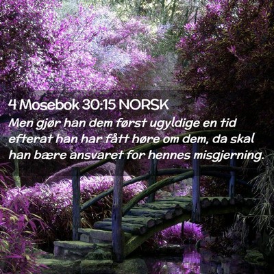 Picture 02 - 4 Mosebok 30:15 NORSK - Men gjør han dem først ugyldige en tid efterat - Bible Verse Picture