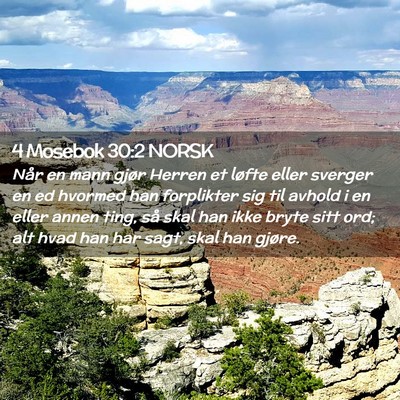 Picture 02 - 4 Mosebok 30:2 NORSK - Når en mann gjør Herren et løfte eller sverger - Bible Verse Picture