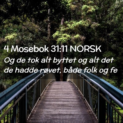 Picture 02 - 4 Mosebok 31:11 NORSK - Og de tok alt byttet og alt det de hadde røvet, - Bible Verse Picture