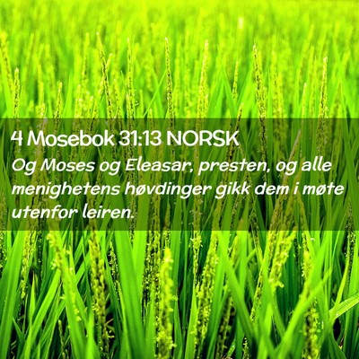Picture 02 - 4 Mosebok 31:13 NORSK - Og Moses og Eleasar, presten, og alle menighetens - Bible Verse Picture