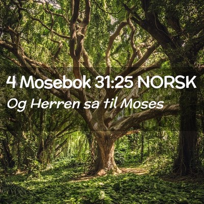 Picture 02 - 4 Mosebok 31:25 NORSK - Og Herren sa til - Bible Verse Picture