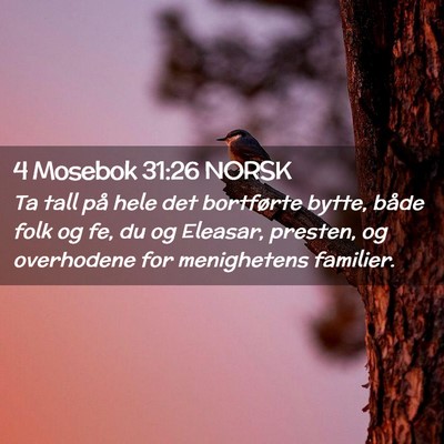Picture 02 - 4 Mosebok 31:26 NORSK - Ta tall på hele det bortførte bytte, både folk - Bible Verse Picture