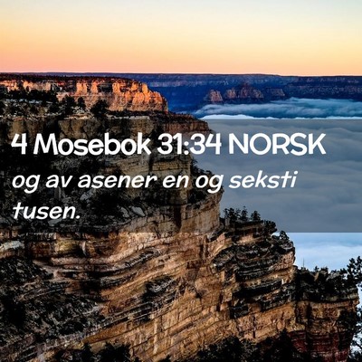 Picture 02 - 4 Mosebok 31:34 NORSK - og av asener en og seksti - Bible Verse Picture