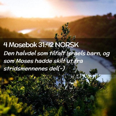 Picture 02 - 4 Mosebok 31:42 NORSK - Den halvdel som tilfalt Israels barn, og som - Bible Verse Picture