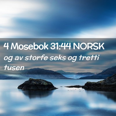 Picture 02 - 4 Mosebok 31:44 NORSK - og av storfe seks og tretti - Bible Verse Picture
