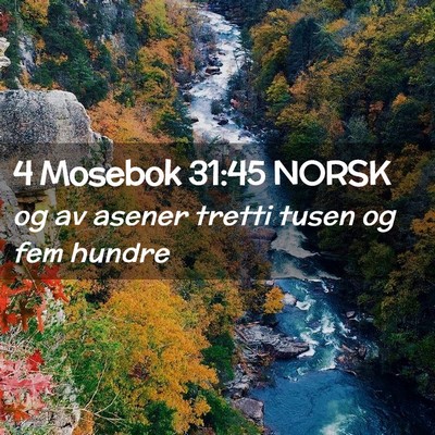 Picture 02 - 4 Mosebok 31:45 NORSK - og av asener tretti tusen og fem - Bible Verse Picture