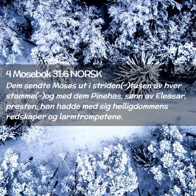 Picture 02 - 4 Mosebok 31:6 NORSK - Dem sendte Moses ut i striden(-)tusen av hver - Bible Verse Picture