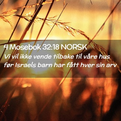 Picture 02 - 4 Mosebok 32:18 NORSK - Vi vil ikke vende tilbake til våre hus før - Bible Verse Picture