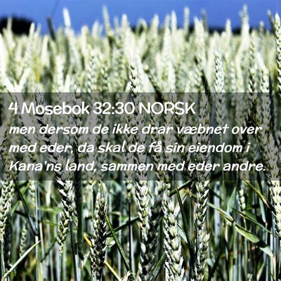 Picture 02 - 4 Mosebok 32:30 NORSK - men dersom de ikke drar væbnet over med eder, da - Bible Verse Picture