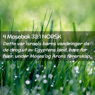 Picture 02 - 4 Mosebok 33:1 NORSK - Dette var Israels barns vandringer da de drog ut - Bible Verse Picture