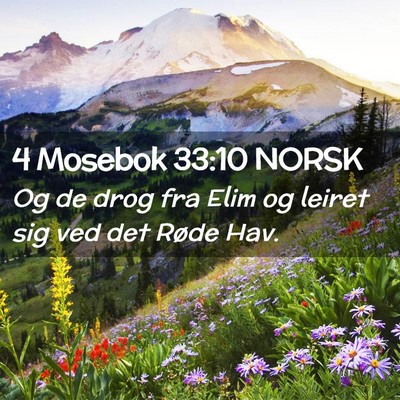 Picture 02 - 4 Mosebok 33:10 NORSK - Og de drog fra Elim og leiret sig ved det Røde - Bible Verse Picture