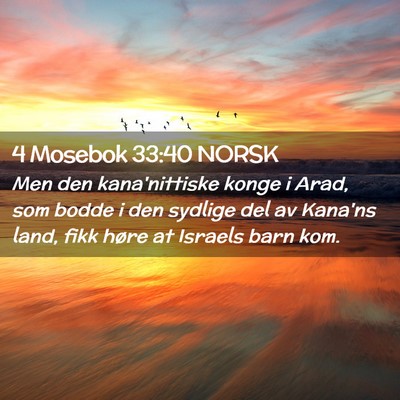 Picture 02 - 4 Mosebok 33:40 NORSK - Men den kana'nittiske konge i Arad, som bodde i - Bible Verse Picture