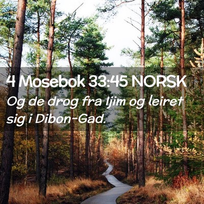 Picture 02 - 4 Mosebok 33:45 NORSK - Og de drog fra Ijim og leiret sig i - Bible Verse Picture